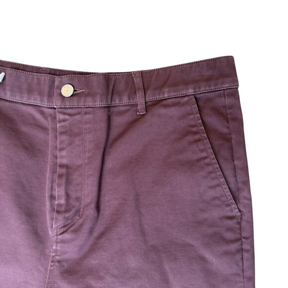 Zanerobe Pants Men 36 Sureshot Chino Orc Maroon High Rise Stretch - Picture 4 of 9